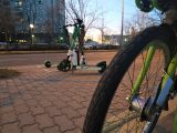 2022-03-23_roller_01