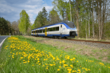 official_siemens_mireo_plus_b