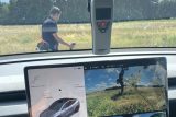 2025_07_24_tesla_modely_fukasza_zajmeres